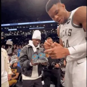 案例分析 案例分析